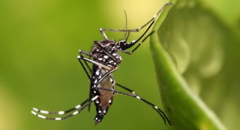 SME participa da Semana Nacional de Mobilização no Combate ao Aedes Aegypti